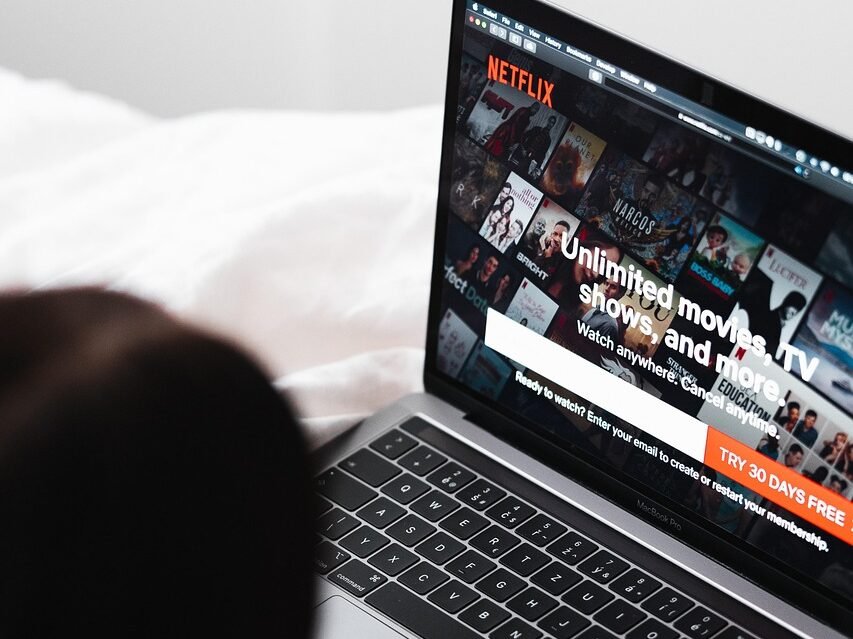 laptop, netflix, entertainment, movies, choose, watch, leisure, technology, relaxation, netflix, netflix, netflix, netflix, netflix